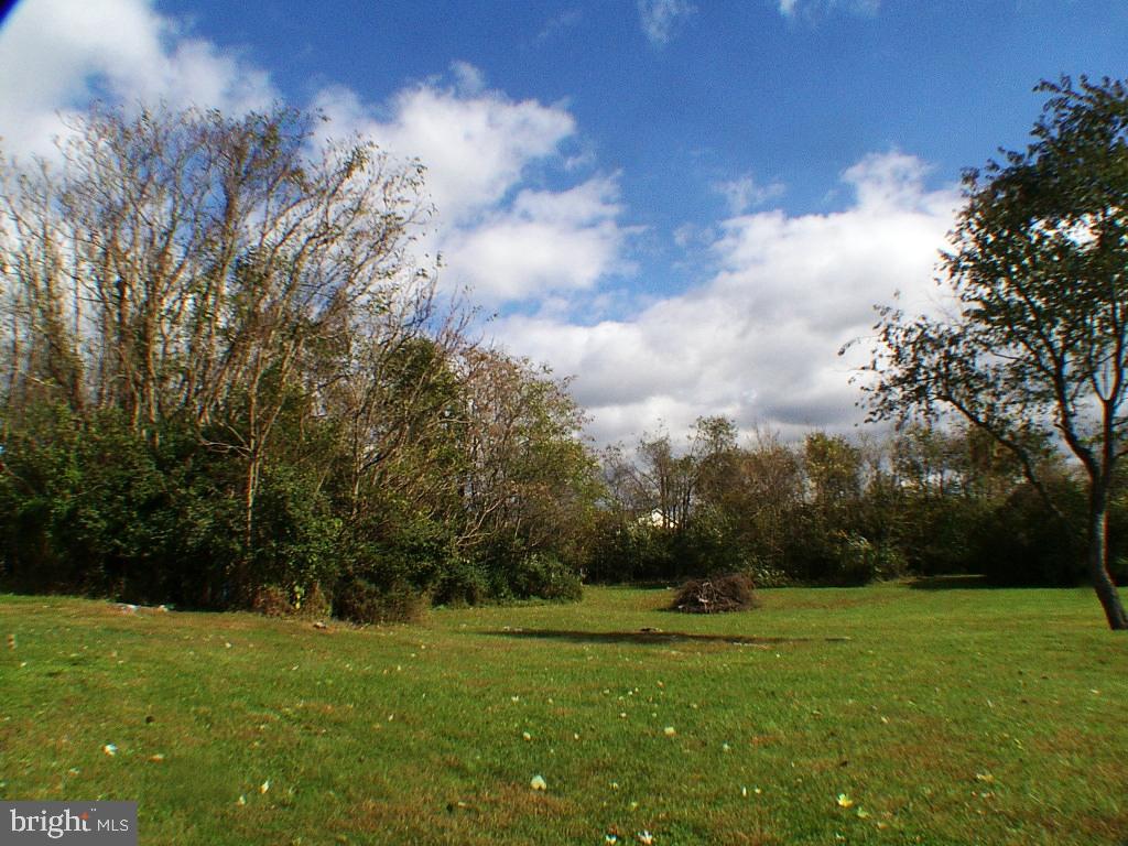 514 Russell Road Berryville, VA 22611 - Photo 38 of 60 Two Acre Yard