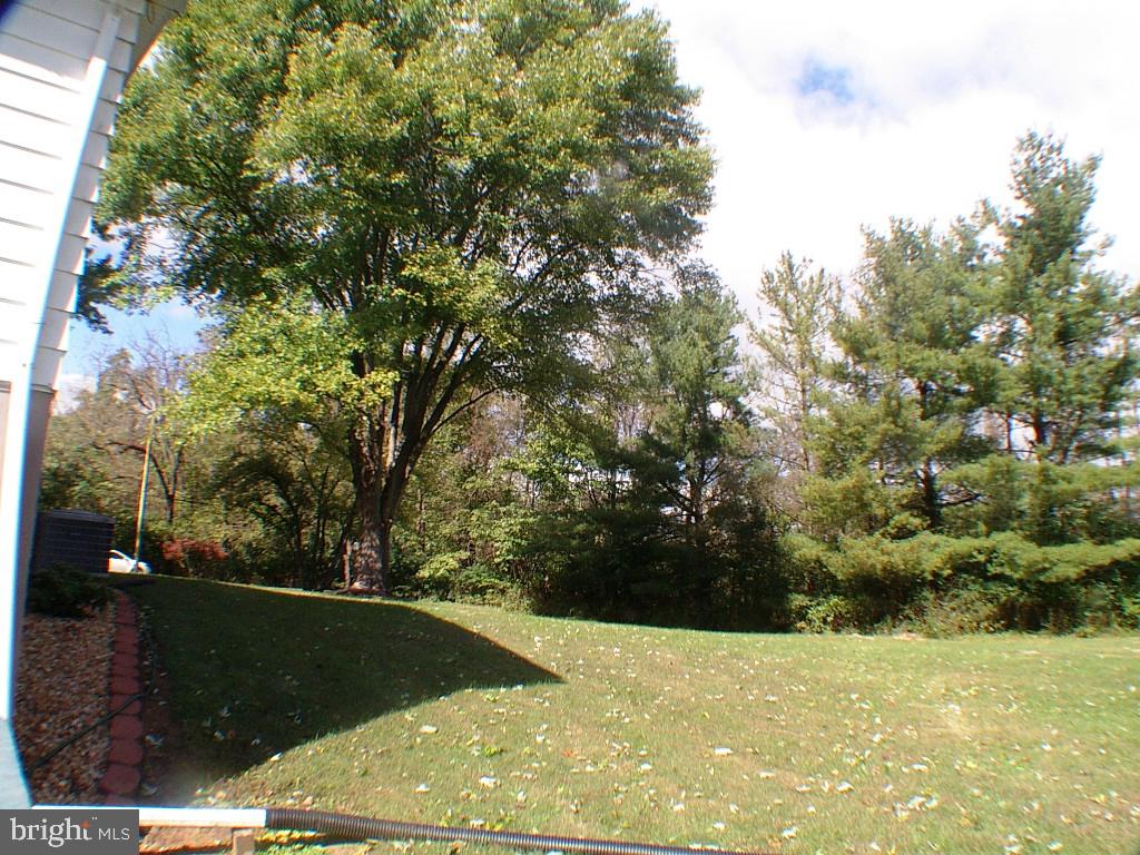 514 Russell Road Berryville, VA 22611 - Photo 39 of 60 Beautiful Yard