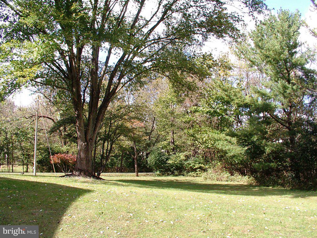 514 Russell Road Berryville, VA 22611 - Photo 44 of 60 Park Like Yard