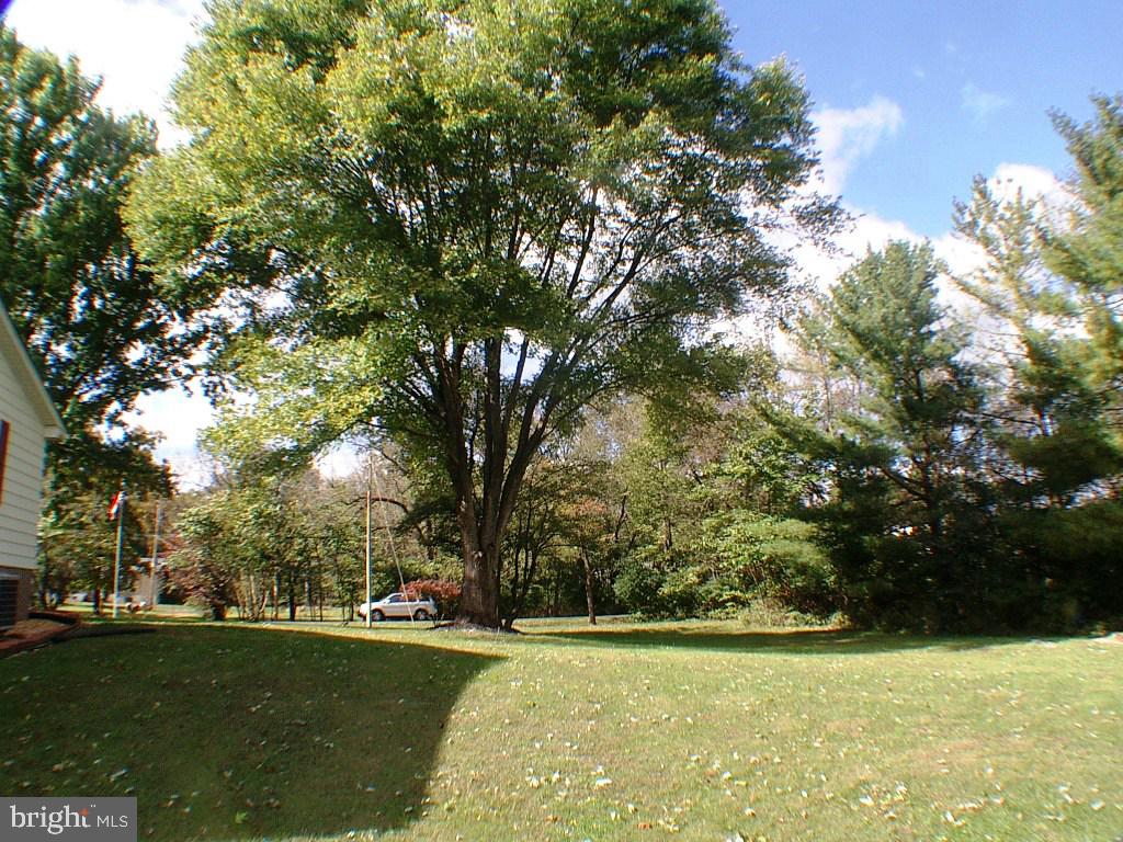 514 Russell Road Berryville, VA 22611 - Photo 45 of 60 Over two Acre yard