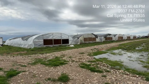 $675,000 | 2037 Fm 2761, Cat Spring, TX 78933