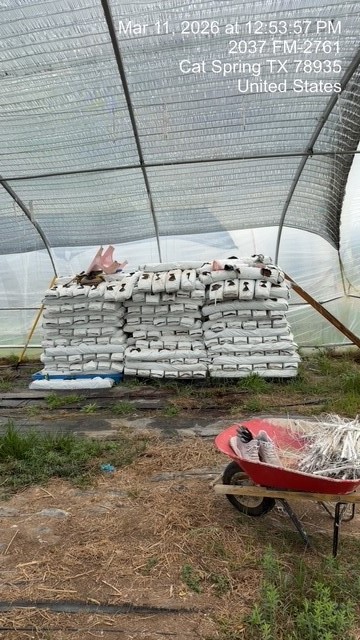 2037 Fm 2761 Cat Spring, TX 78933 - Photo 12 of 14