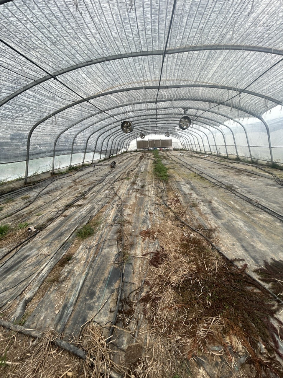 2037 Fm 2761 Cat Spring, TX 78933 - Photo 14 of 14