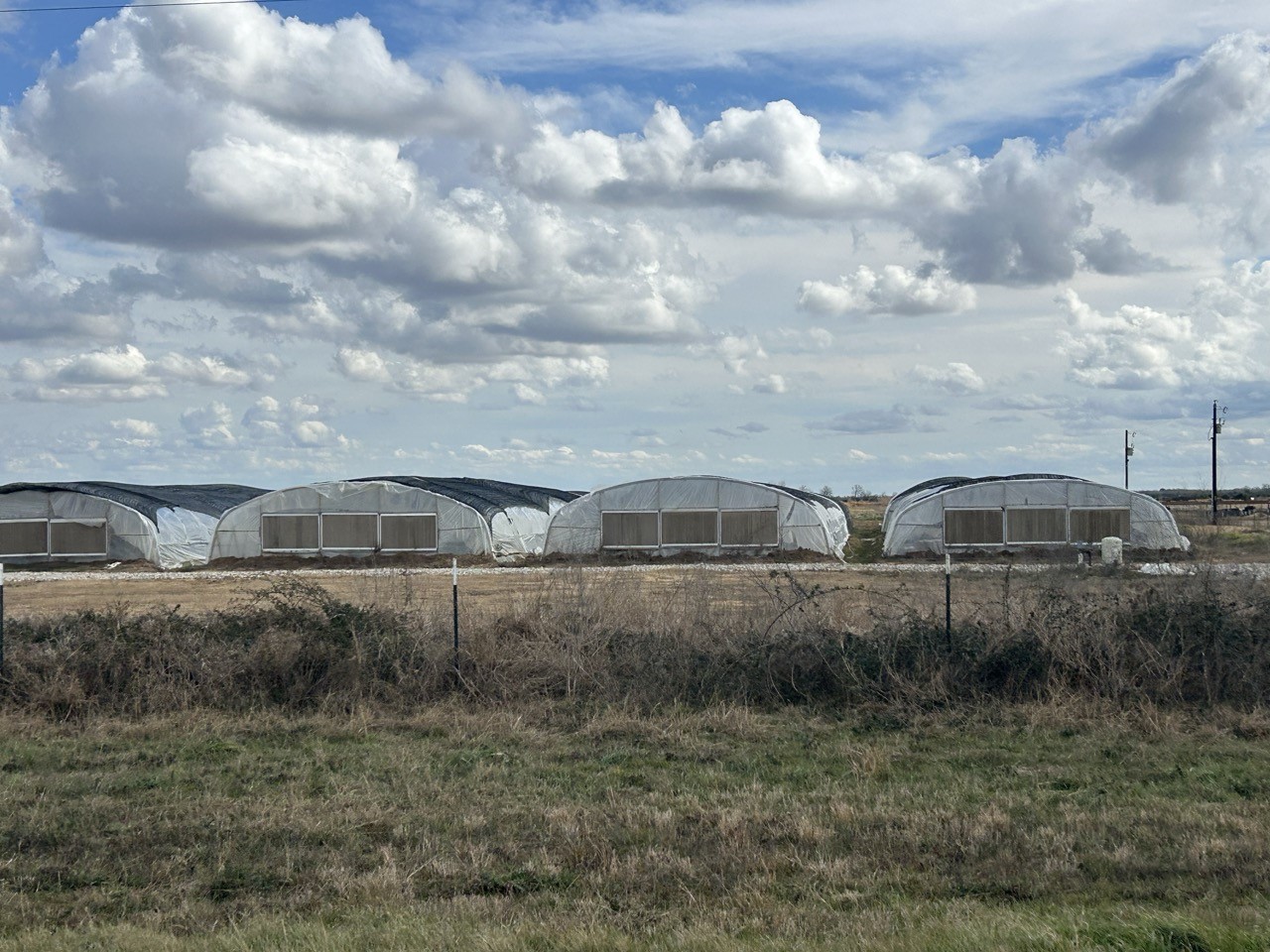 2037 Fm 2761 Cat Spring, TX 78933 - Photo 2 of 14