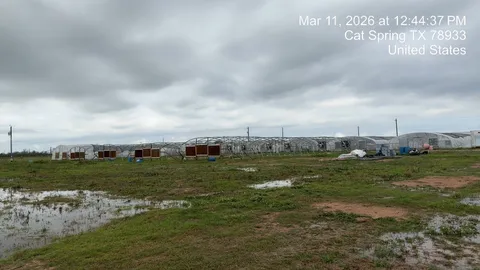 $675,000 | 2037 Fm 2761, Cat Spring, TX 78933