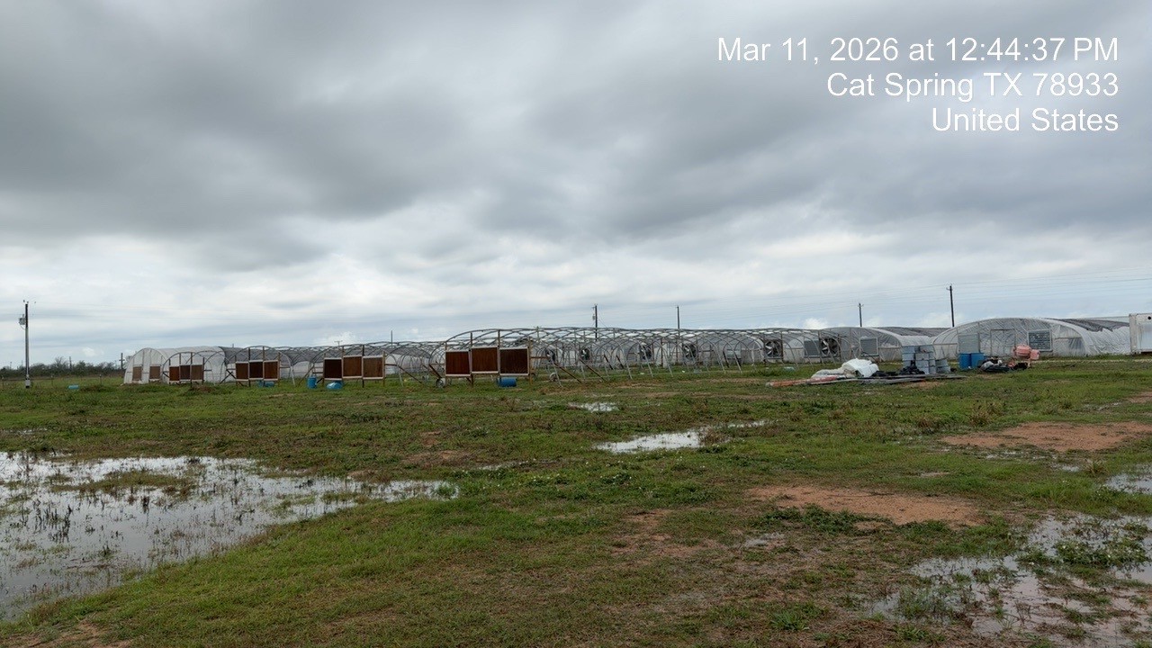 2037 Fm 2761 Cat Spring, TX 78933 - Photo 3 of 14