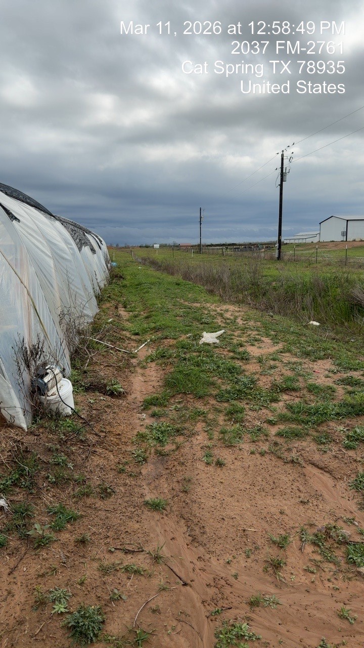2037 Fm 2761 Cat Spring, TX 78933 - Photo 7 of 15