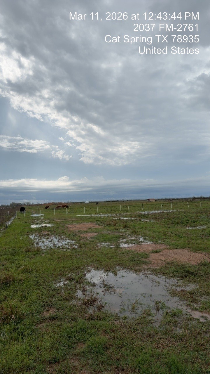 2037 Fm 2761 Cat Spring, TX 78933 - Photo 8 of 15