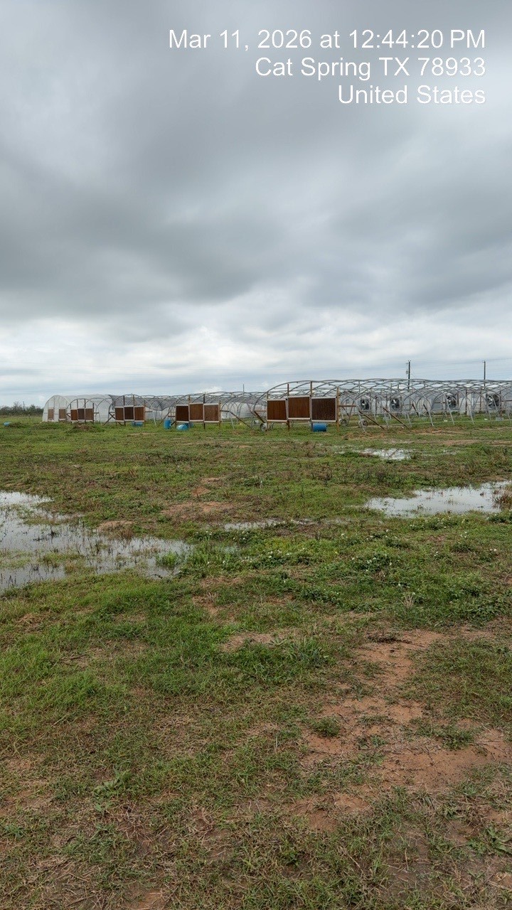 2037 Fm 2761 Cat Spring, TX 78933 - Photo 8 of 14