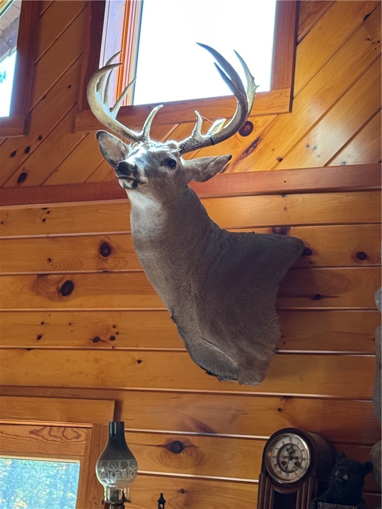 9840 Cronk Hill Road Fillmore, NY 14735 - Photo 9 of 26