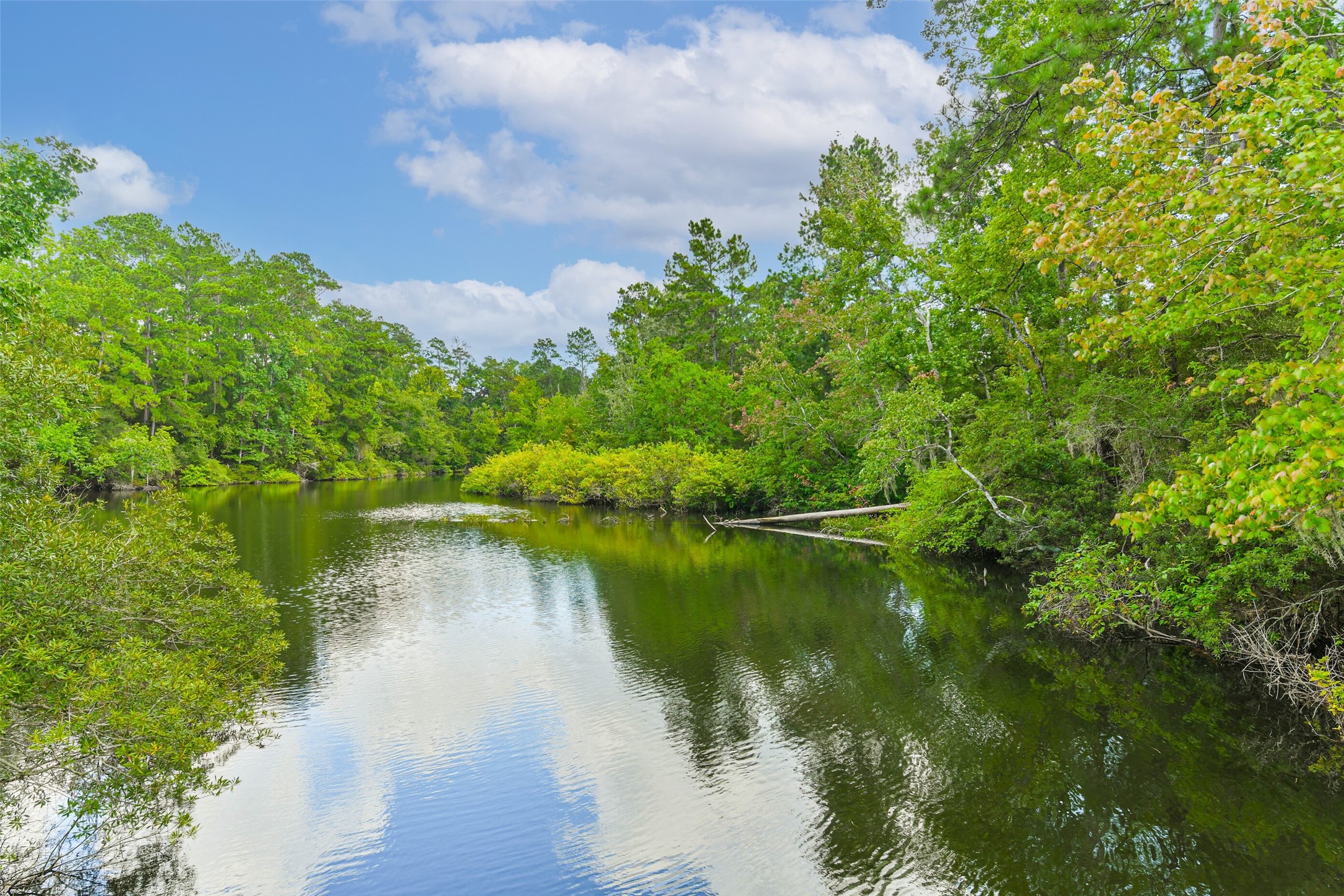 88 Raccoon Ramble Cleveland, TX 77327 - Photo 38 of 43 Serene riverside setting surrounded by lush greenery, offering a peaceful retreat with beautiful reflections on the water.