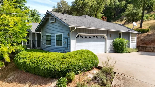 a view of a house with a yard plants and large tree