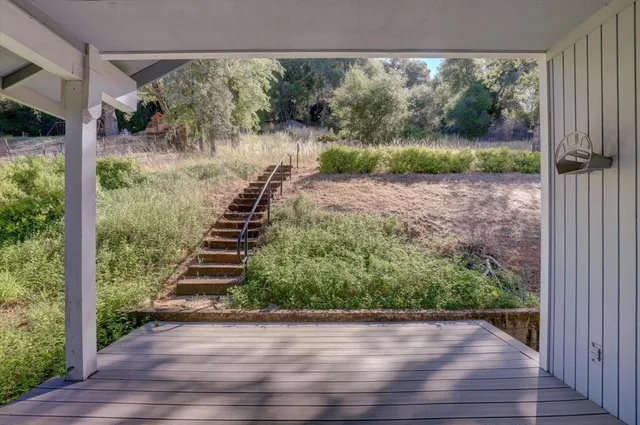 a view of a garden from a window