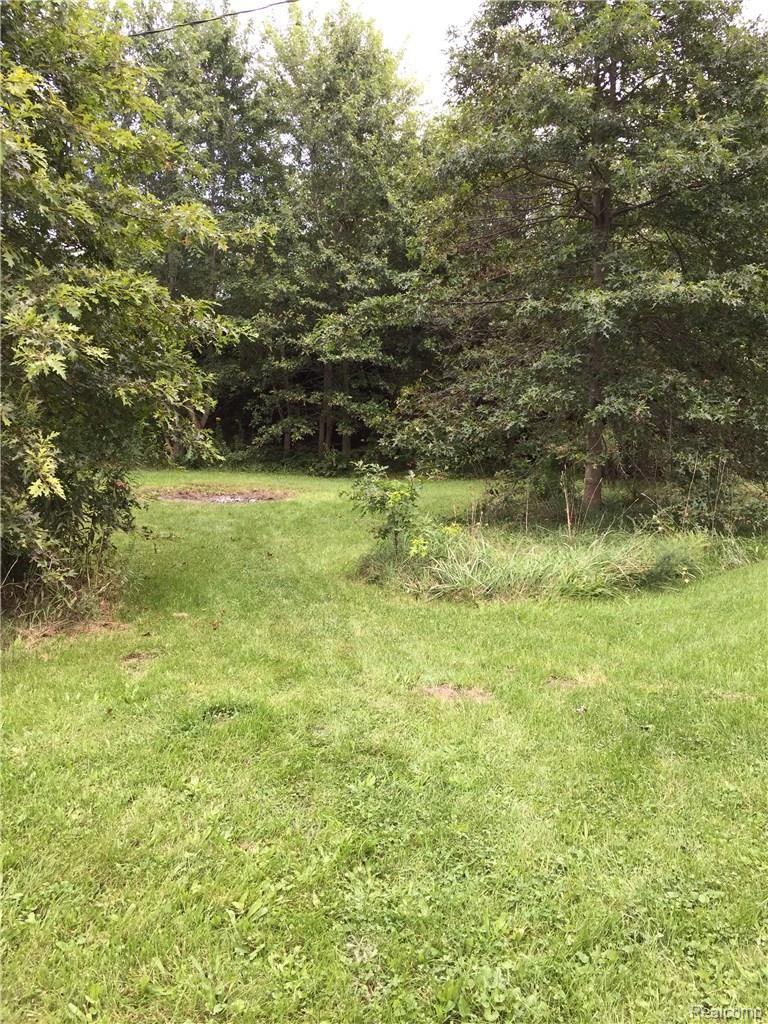19923 Karr Road Belleville, MI 48111 - Photo 43 of 45 471.JPG