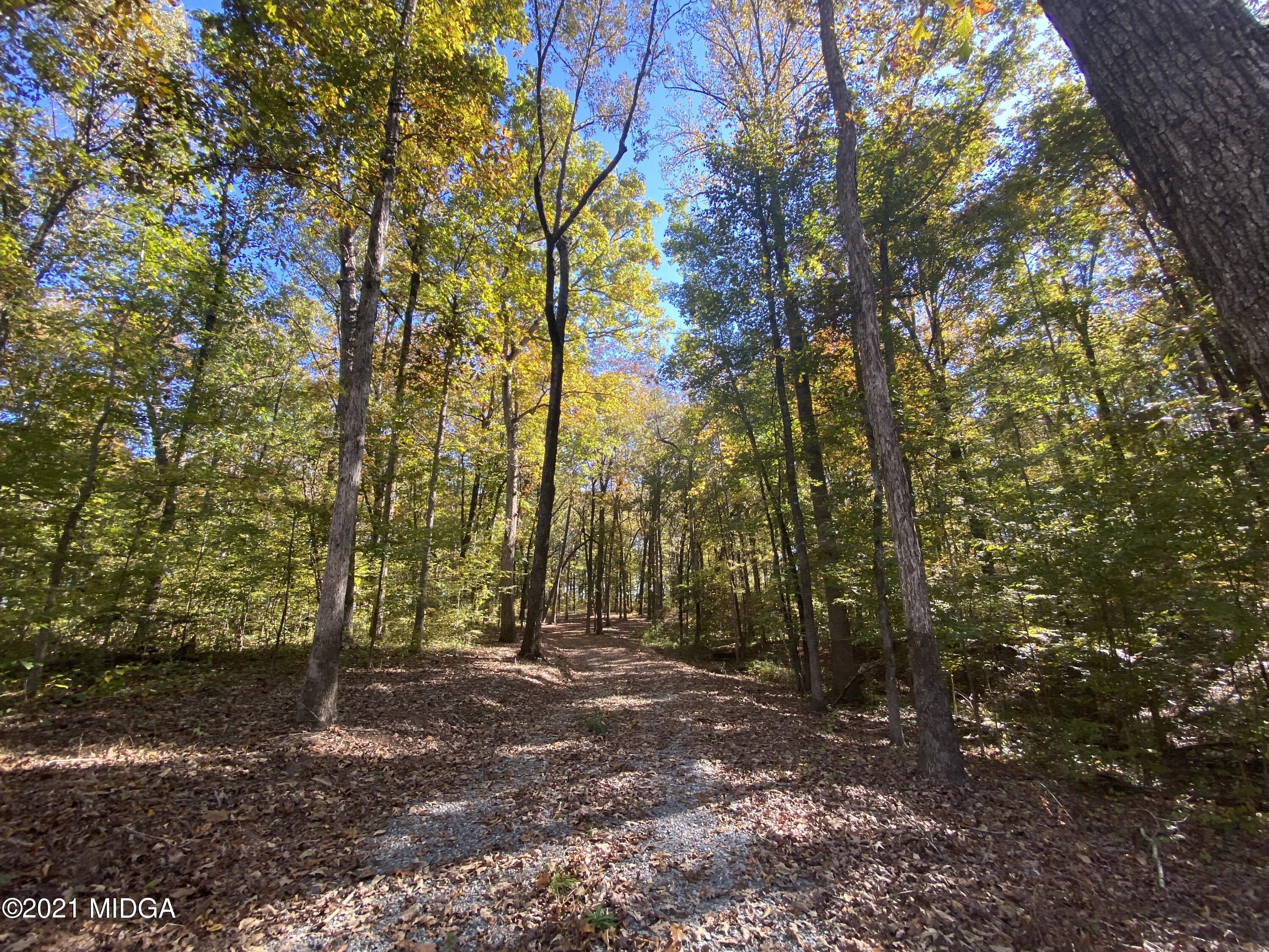 0 Estes Road Macon, GA 31220 - Photo 2 of 8 a view of forest