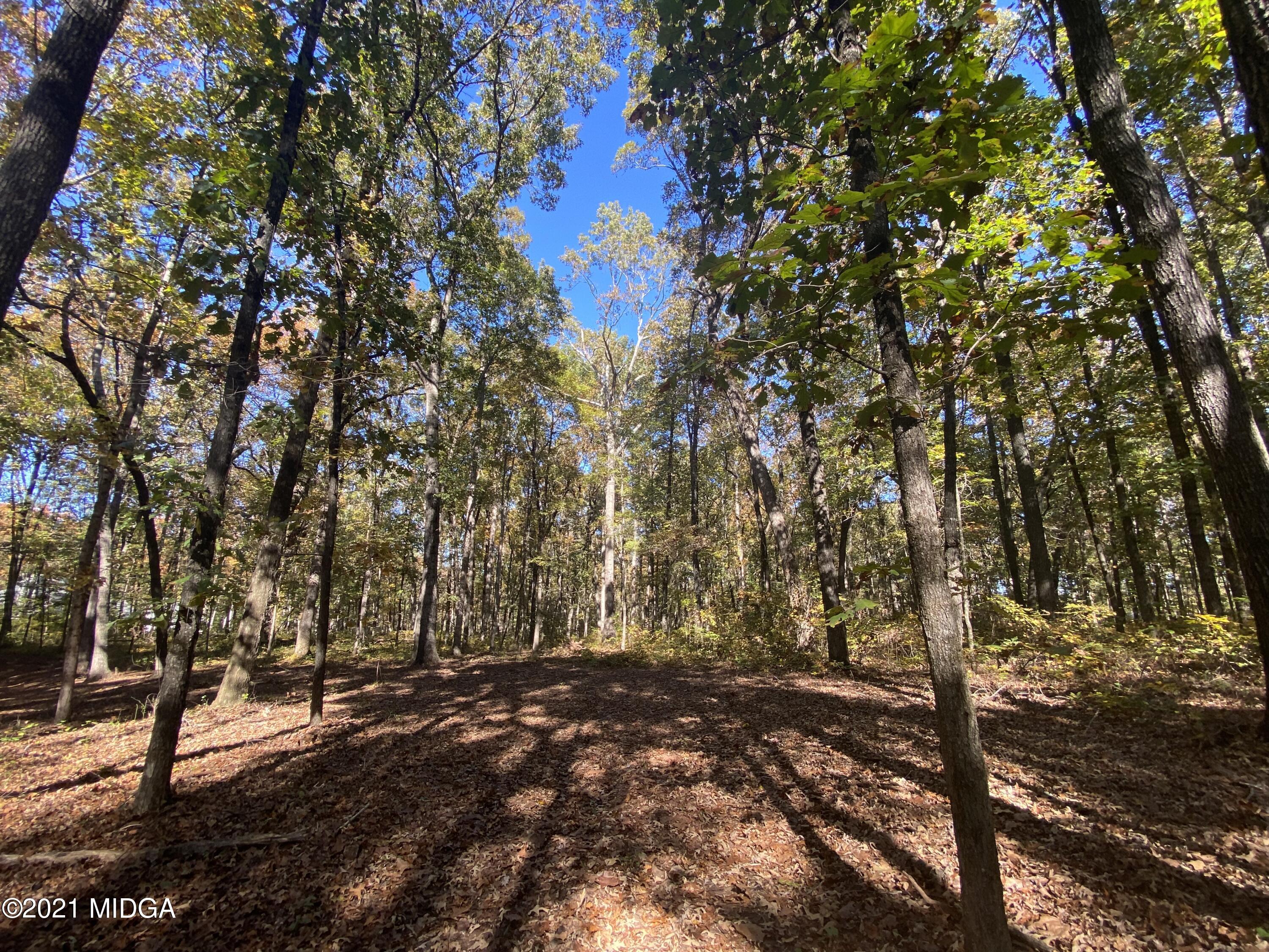 0 Estes Road Macon, GA 31220 - Photo 4 of 8