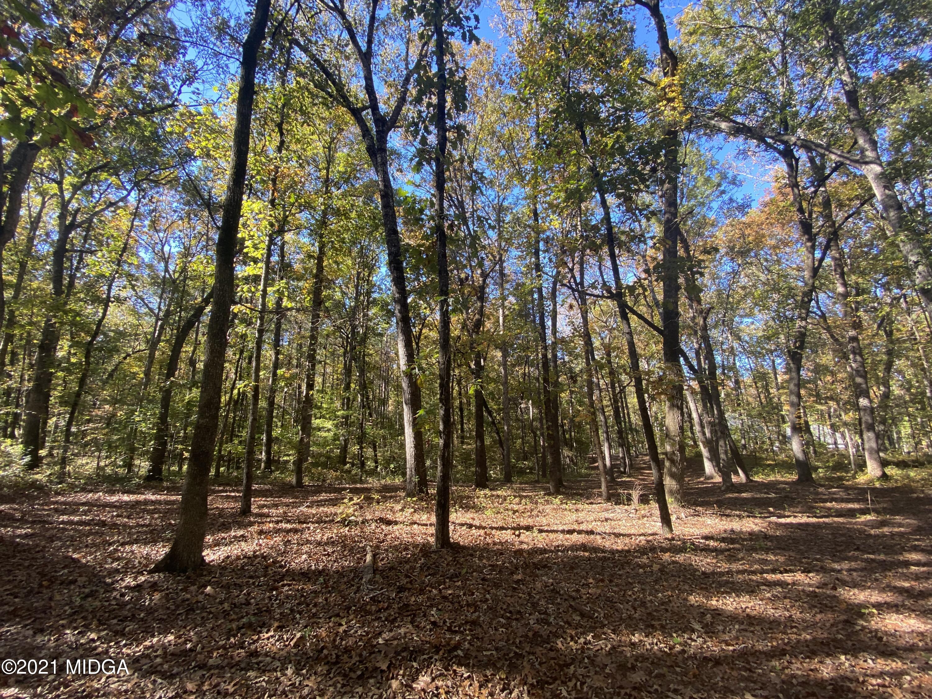 0 Estes Road Macon, GA 31220 - Photo 8 of 8 a backyard of a house with lots of green space