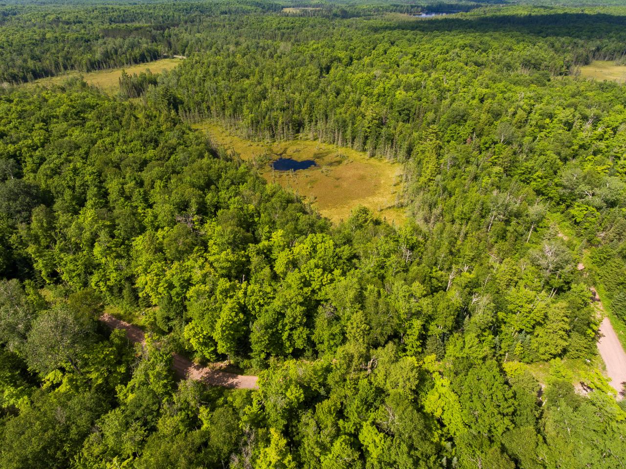 Lot 1415 Wildcat Road Presque Isle, WI 54557 - Photo 25 of 47 Gallery Image 25