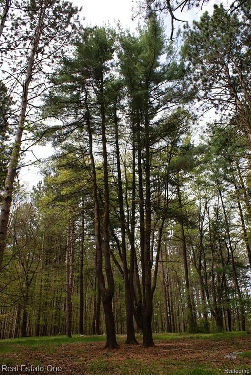 2 McKeen Lake Road Columbiaville, MI 48421 - Photo 28 of 51