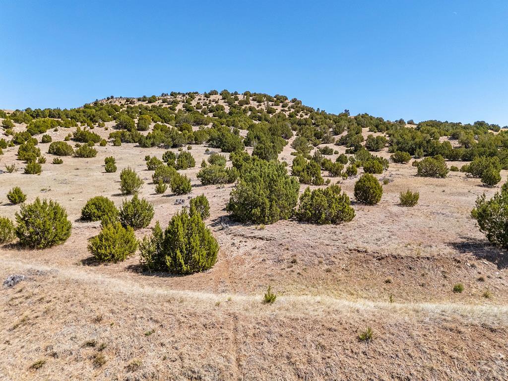Tbd Cedar Grove Road Beulah, CO 81023 - Photo 12 of 28