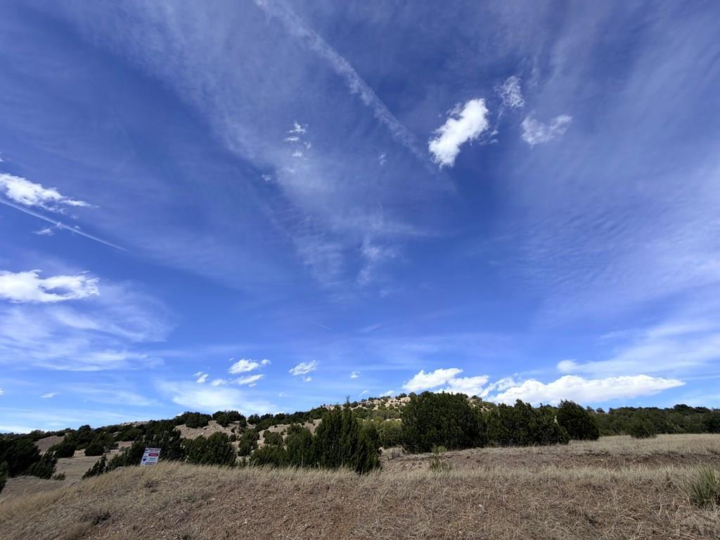 Tbd Cedar Grove Road Beulah, CO 81023 - Photo 2 of 28