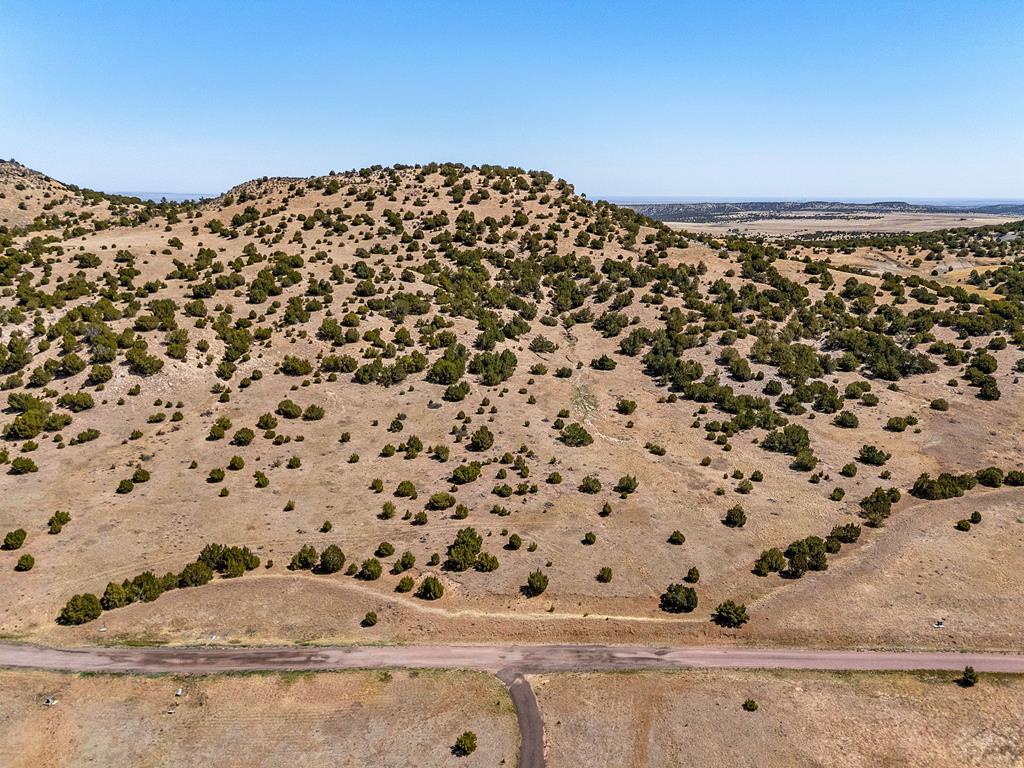 Tbd Cedar Grove Road Beulah, CO 81023 - Photo 21 of 28