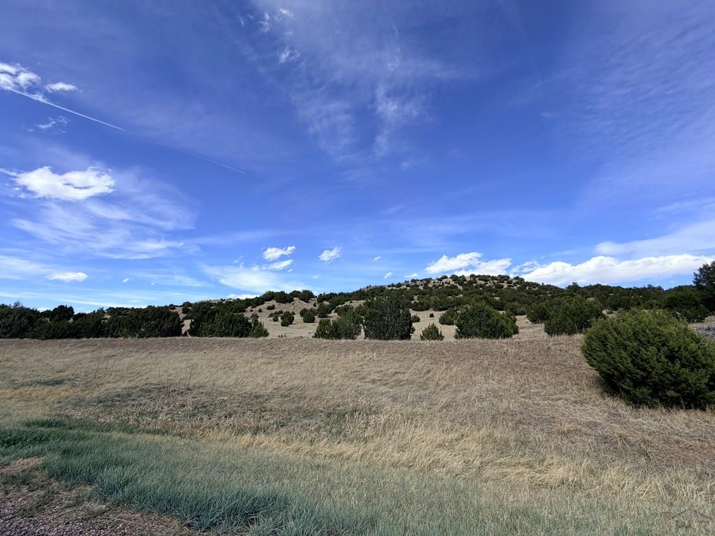 Tbd Cedar Grove Road Beulah, CO 81023 - Photo 6 of 28