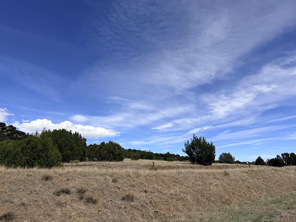 Tbd Cedar Grove Road Beulah, CO 81023 - Photo 7 of 28