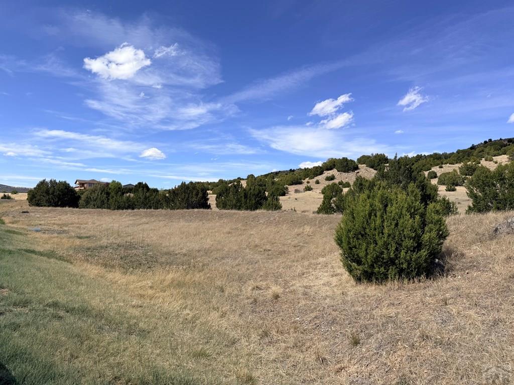 Tbd Cedar Grove Road Beulah, CO 81023 - Photo 8 of 28
