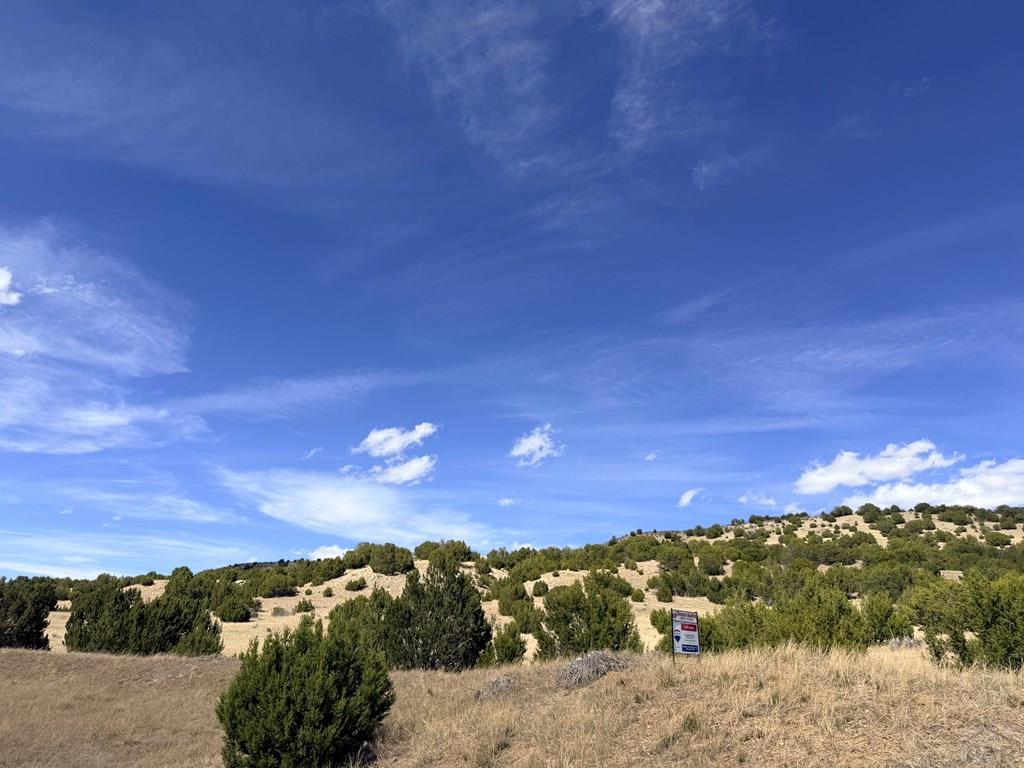 Tbd Cedar Grove Road Beulah, CO 81023 - Photo 9 of 28