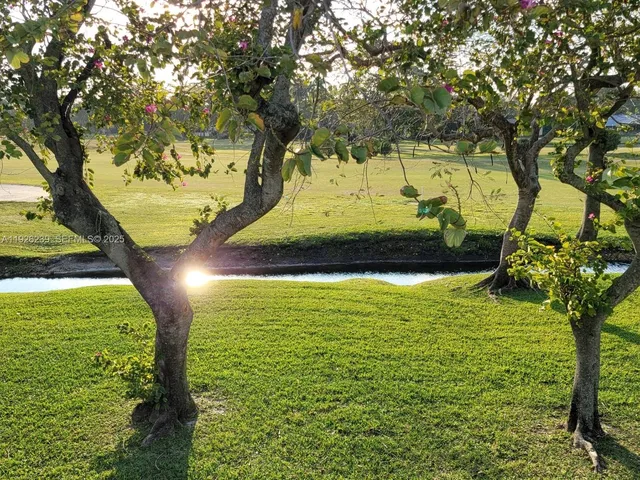 a view of a yard with an tree