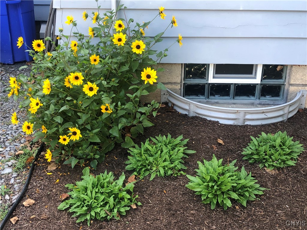 170 Franklin Street Auburn, NY 13021 - Photo 32 of 40 Nicely landscaped