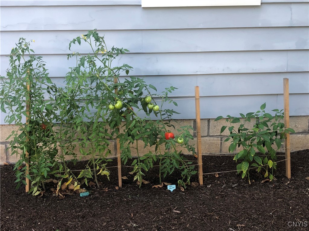 170 Franklin Street Auburn, NY 13021 - Photo 33 of 40 Small Garden area