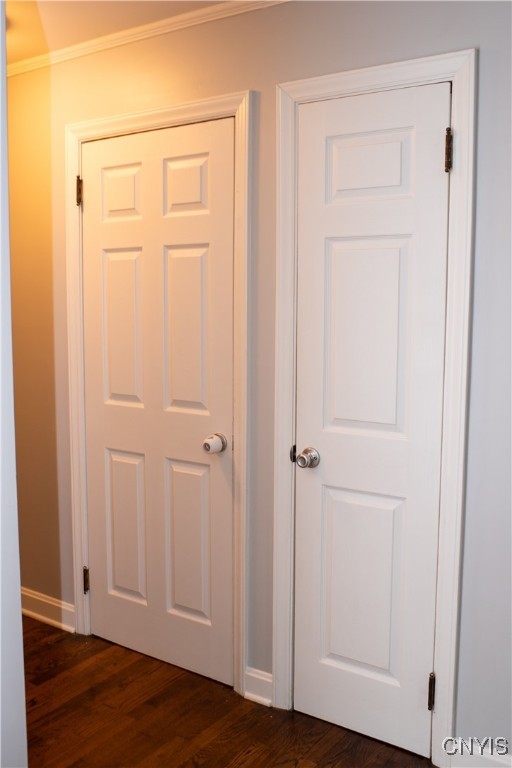 170 Franklin Street Auburn, NY 13021 - Photo 7 of 40 Pantry off kitchen