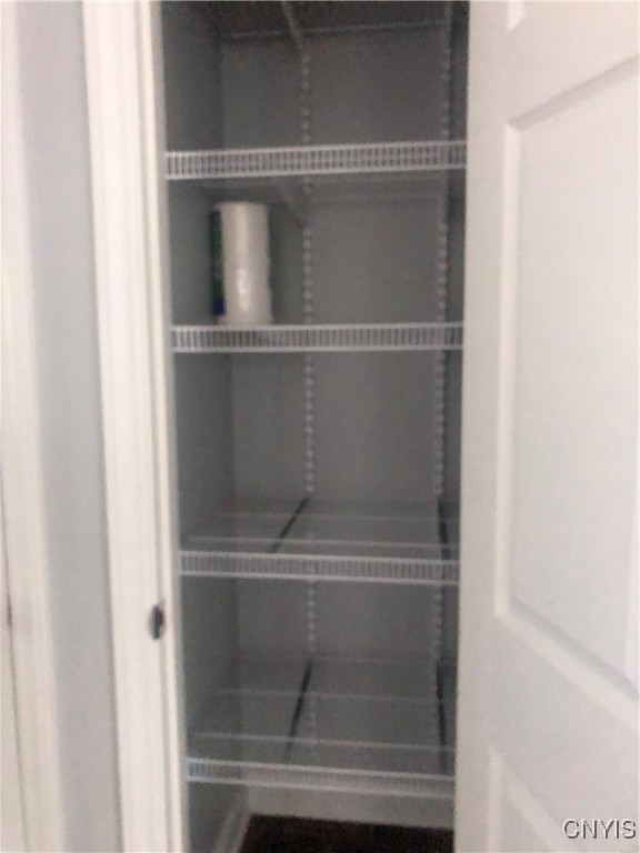 170 Franklin Street Auburn, NY 13021 - Photo 8 of 40 Pantry has great storage