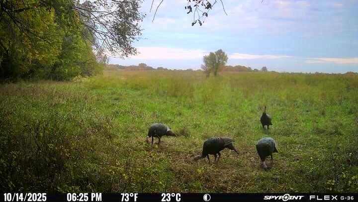 0 McLouth Road Tonganoxie, KS 66086 - Photo 15 of 87