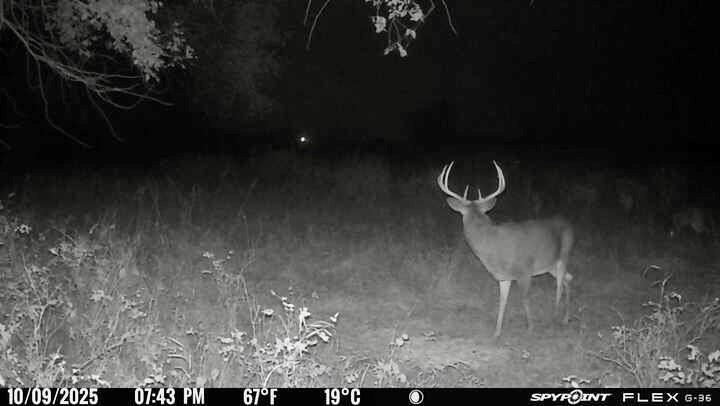 0 McLouth Road Tonganoxie, KS 66086 - Photo 5 of 87