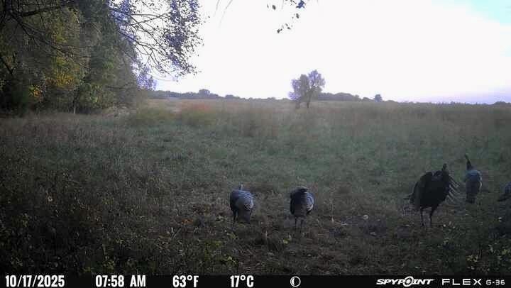 0 McLouth Road Tonganoxie, KS 66086 - Photo 82 of 87