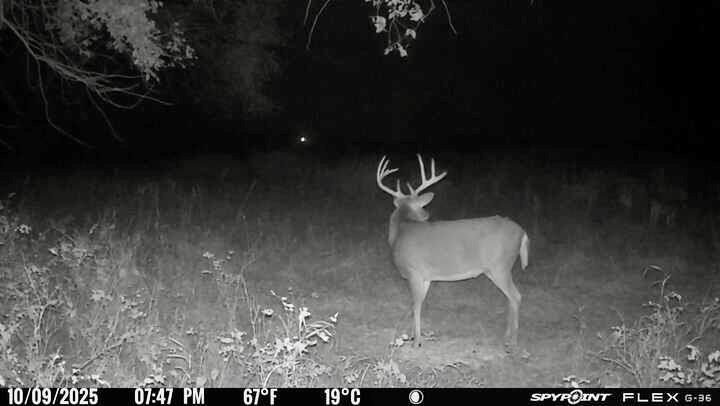 0 McLouth Road Tonganoxie, KS 66086 - Photo 83 of 87