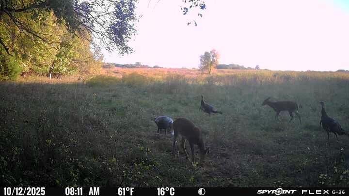 0 McLouth Road Tonganoxie, KS 66086 - Photo 84 of 87