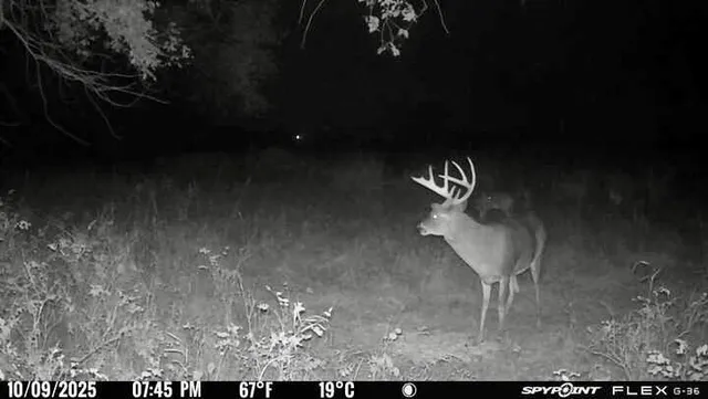 $8,725,000 | 0 McLouth Road, Tonganoxie, KS 66086