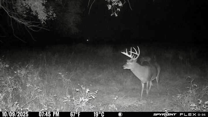 0 McLouth Road Tonganoxie, KS 66086 - Photo 85 of 87