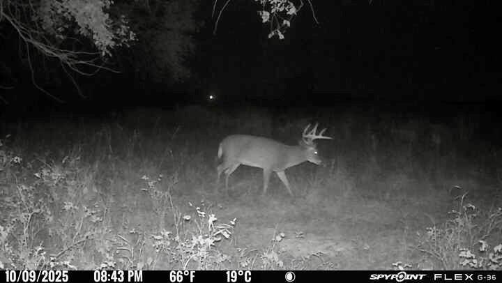 0 McLouth Road Tonganoxie, KS 66086 - Photo 86 of 87