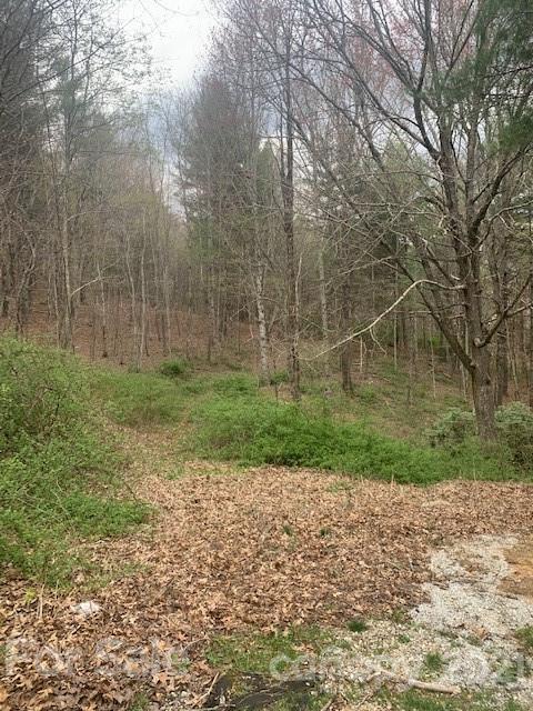 945 Trillium Ridge Road, Unit 28 Cullowhee, NC 28723 - Photo 2 of 4 Gallery Image 2