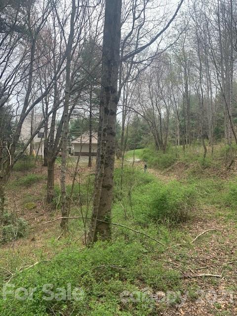 945 Trillium Ridge Road, Unit 28 Cullowhee, NC 28723 - Photo 3 of 4 Gallery Image 3