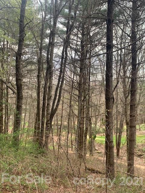 945 Trillium Ridge Road, Unit 28 Cullowhee, NC 28723 - Photo 4 of 4 Gallery Image 4