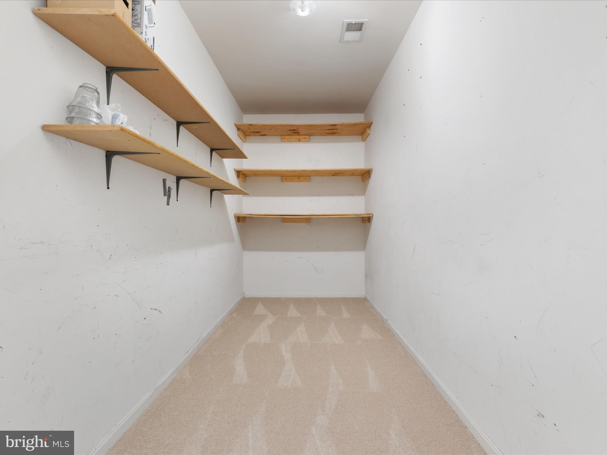 44258 Huron Terrace Ashburn, VA 20147 - Photo 21 of 33 Primary closet 1