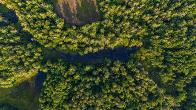 $950,000 | North Line Road, Center Tuftonboro, NH 03816