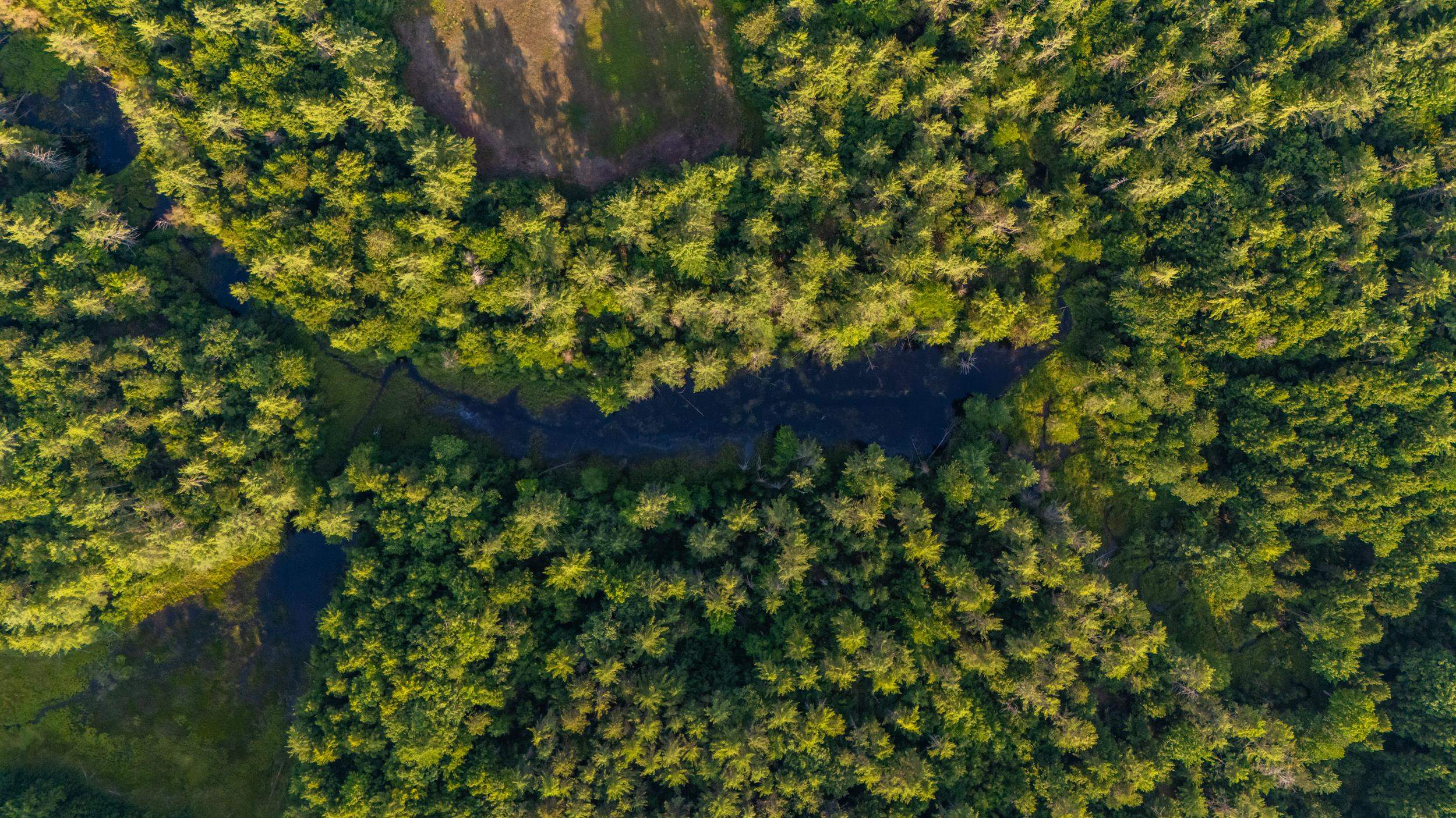 North Line Road Center Tuftonboro, NH 03816 - Photo 16 of 25