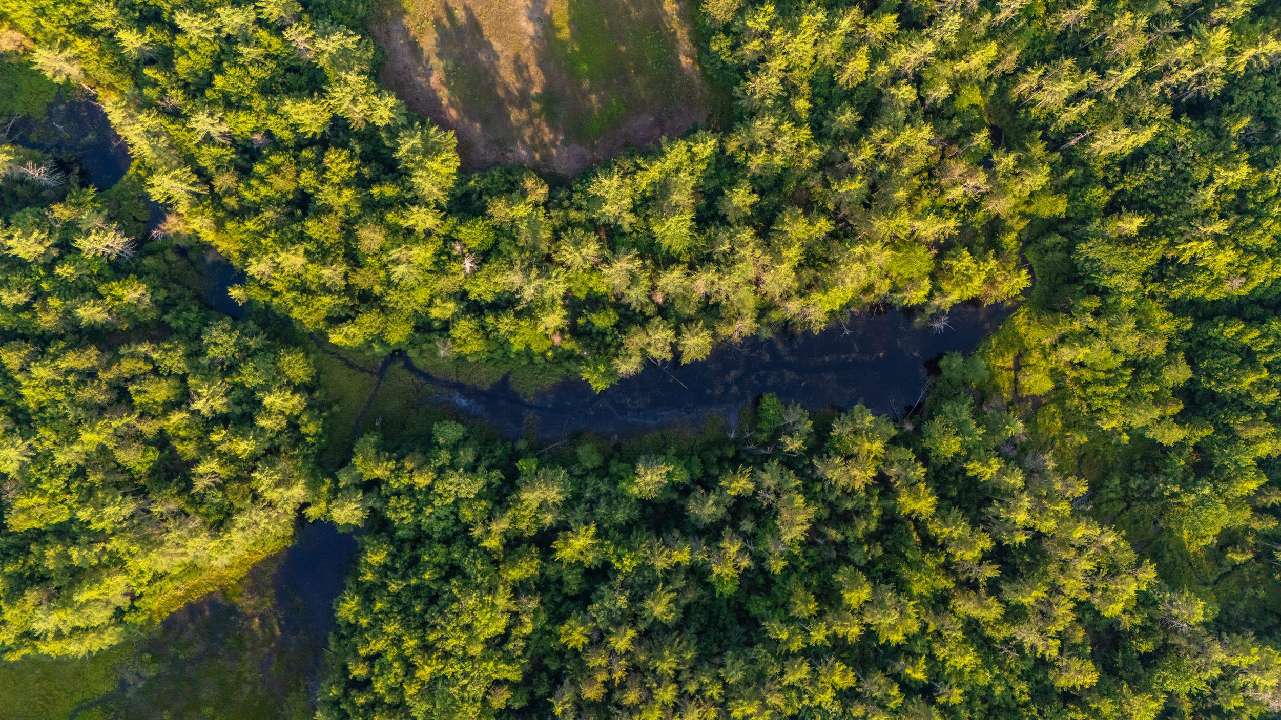 North Line Road Center Tuftonboro, NH 03816 - Photo 18 of 25